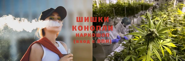 стаф Волосово